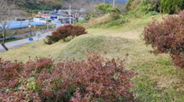B000411202401301181242.jpg