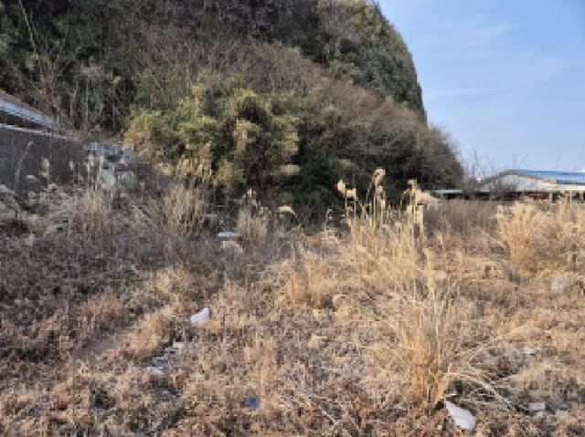 B000411202501300001142.jpg