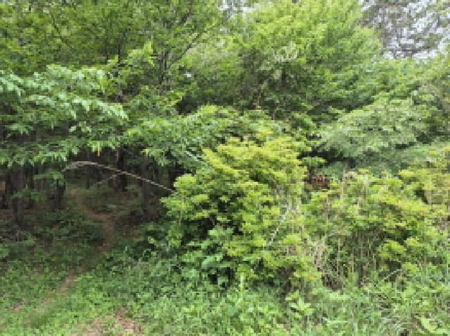 B000411202501300001211.jpg