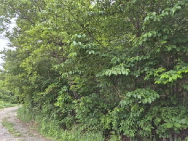 B000411202501300001212.jpg