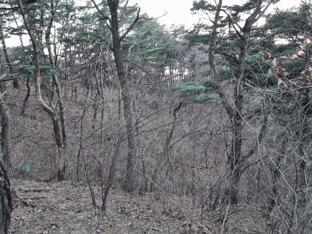B000411202501300003053.jpg