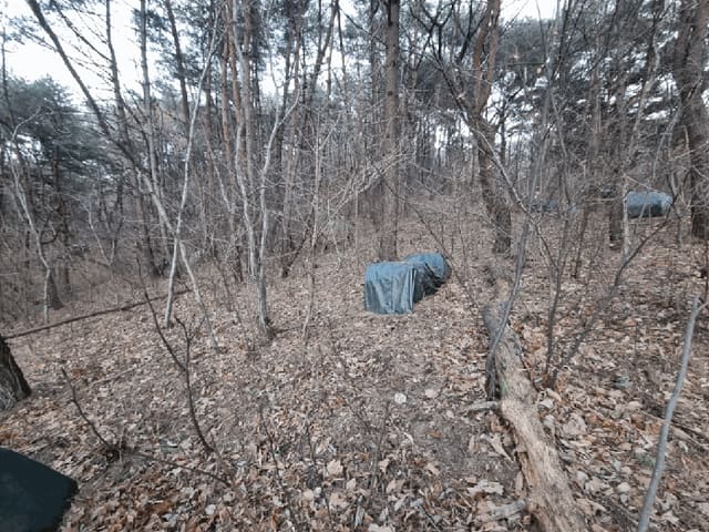 B000411202501300003054.jpg