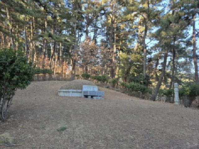 B000411202501300003814.jpg