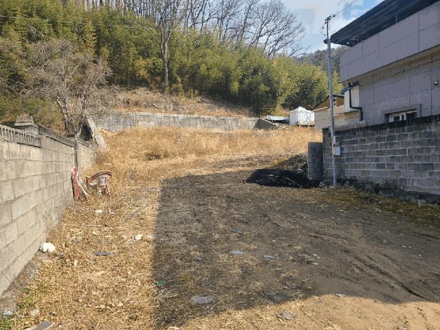 B0004112025013000088413.jpg