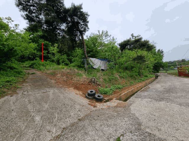 B000411202501300009063.jpg
