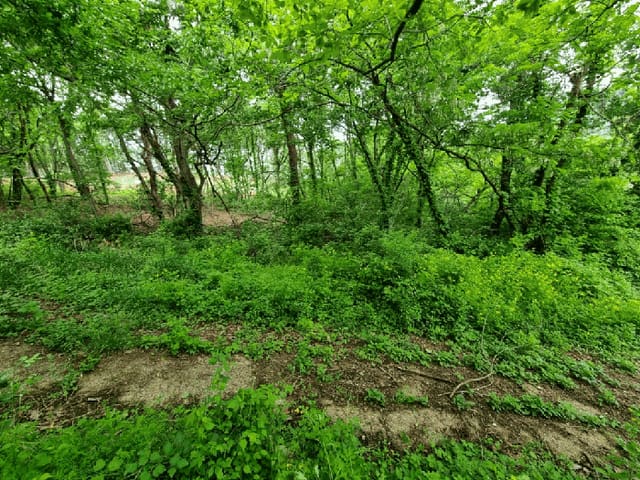 B000411202501300009064.jpg