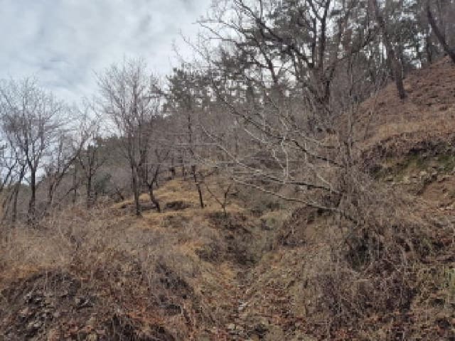 B000411202501300009192.jpg