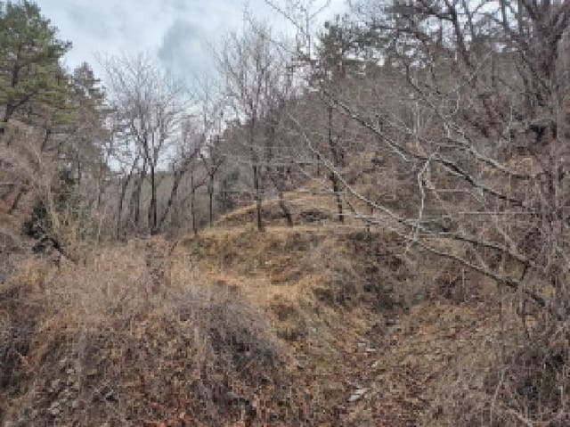B000411202501300009191.jpg