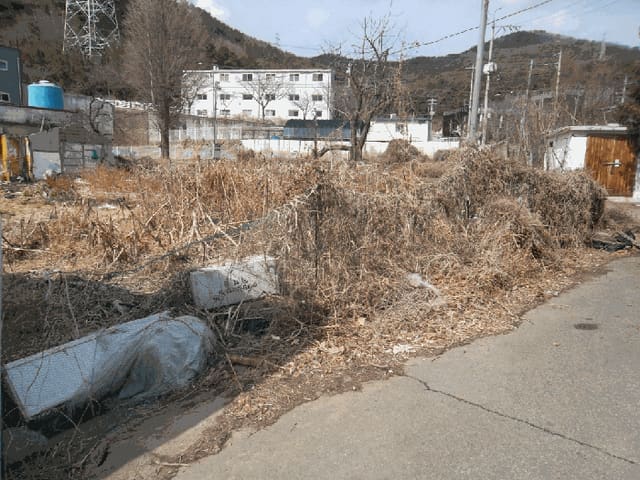 B000411202501300009324.jpg