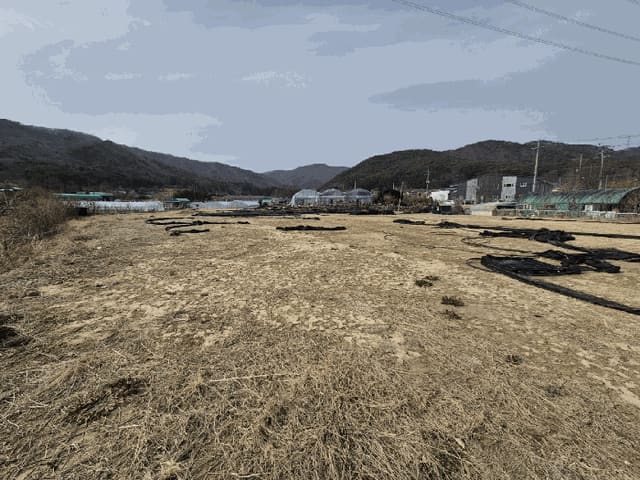 B000411202501300009584.jpg