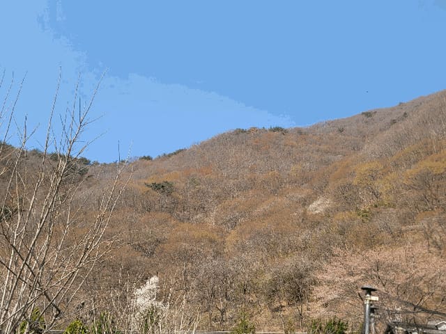 B000411202501300009944.jpg