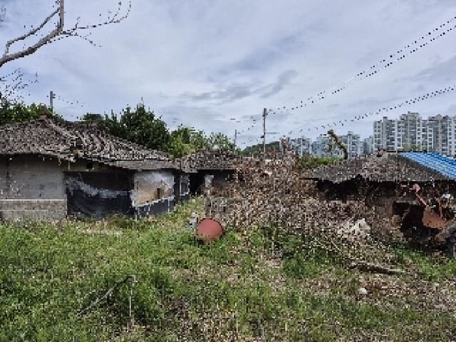 B000411202501300010281.jpg