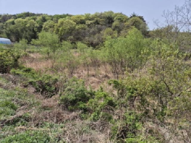 B000411202501300010302.jpg