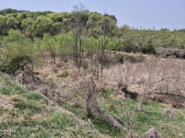 B000411202501300010301.jpg