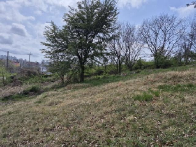 B000411202501300010402.jpg