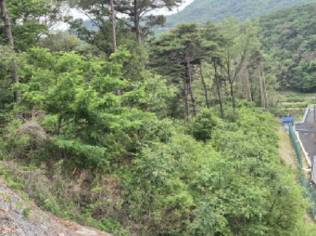 B000411202501300010859.jpg