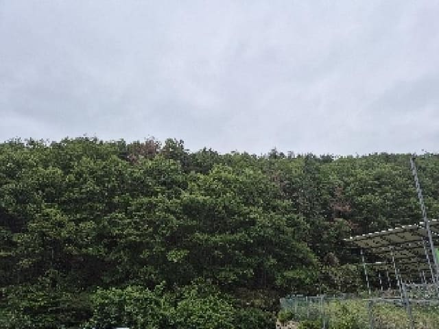 B000411202501300010856.jpg