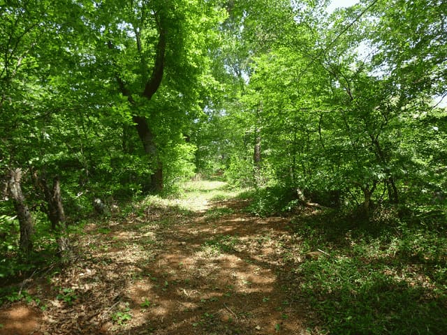 B000411202501300010984.jpg