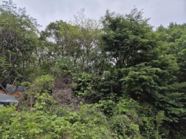 B000411202501300010981.jpg