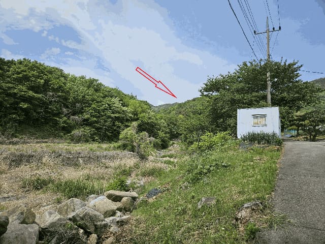 B000411202501300011003.jpg