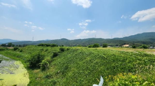 B000411202501300011261.jpg