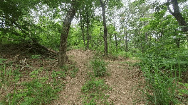 B000411202501300011884.jpg
