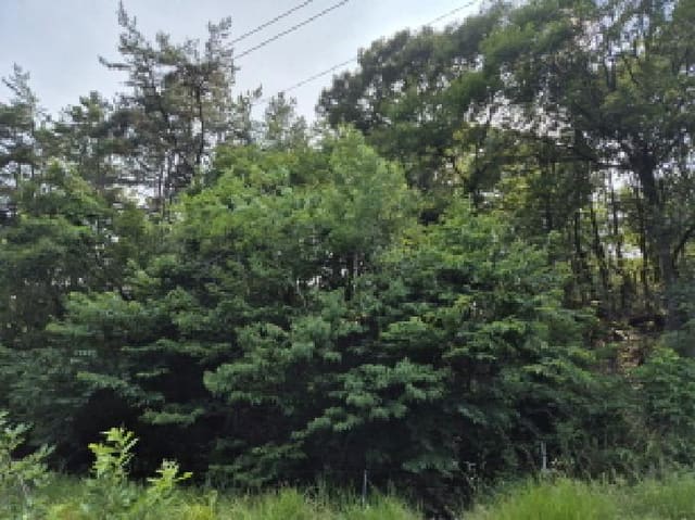 B000411202501300011881.jpg