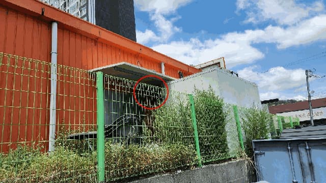 B000411202501300012398.jpg