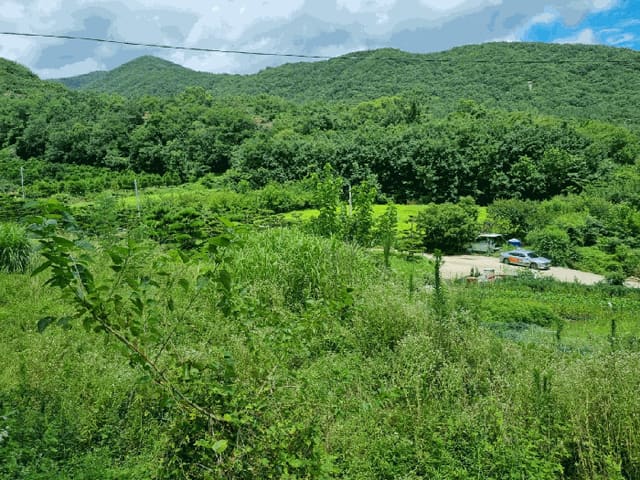 B000411202501300012594.jpg