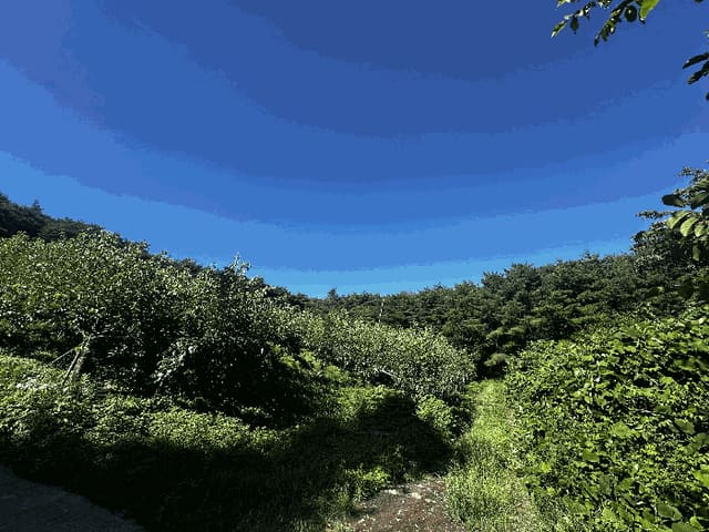 B000411202501300012963.jpg