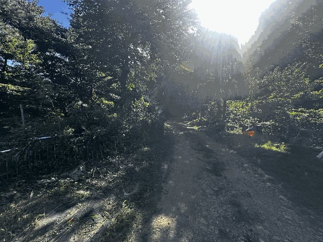 B000411202501300012964.jpg