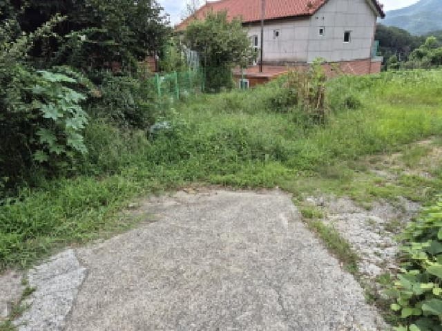 B000411202501300013331.jpg