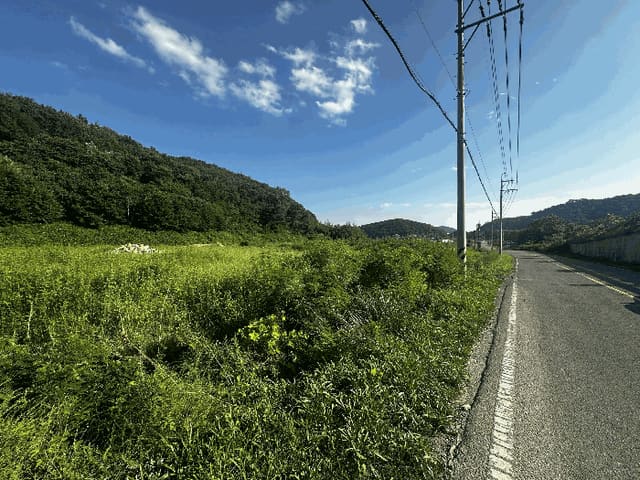 B000411202501300013394.jpg