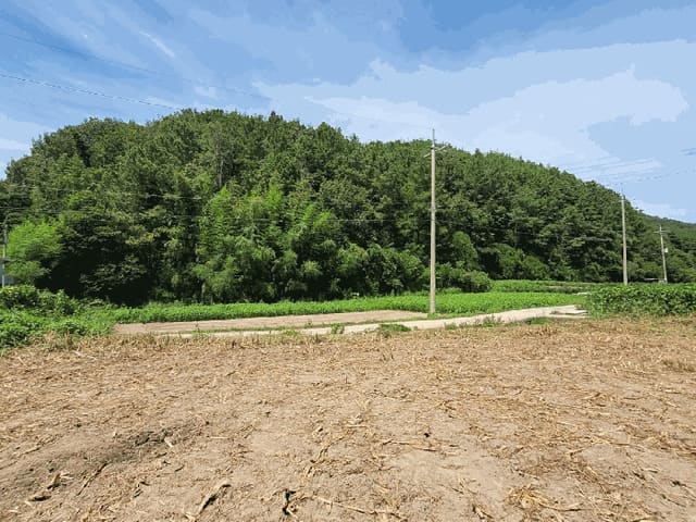 B000411202501300013721.jpg
