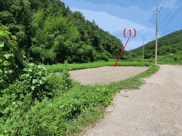 B000411202501300013722.jpg