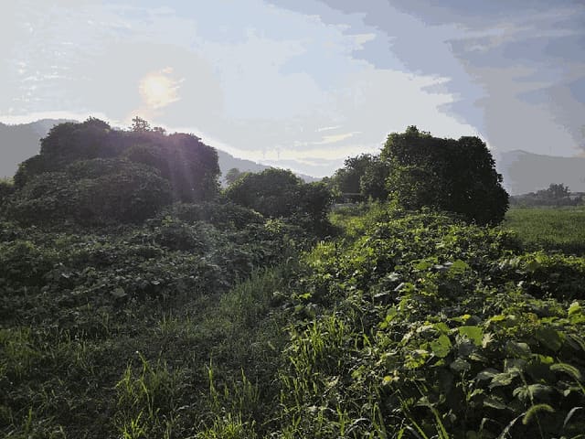 B000411202501300013766.jpg