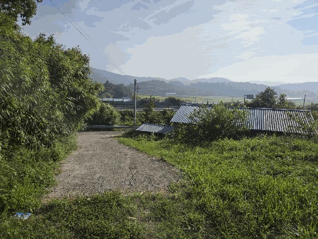B0004112025013000138411.jpg