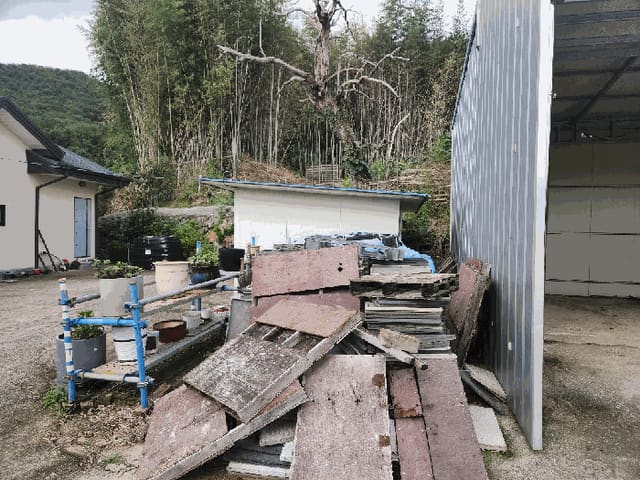 B000411202501300014616.jpg