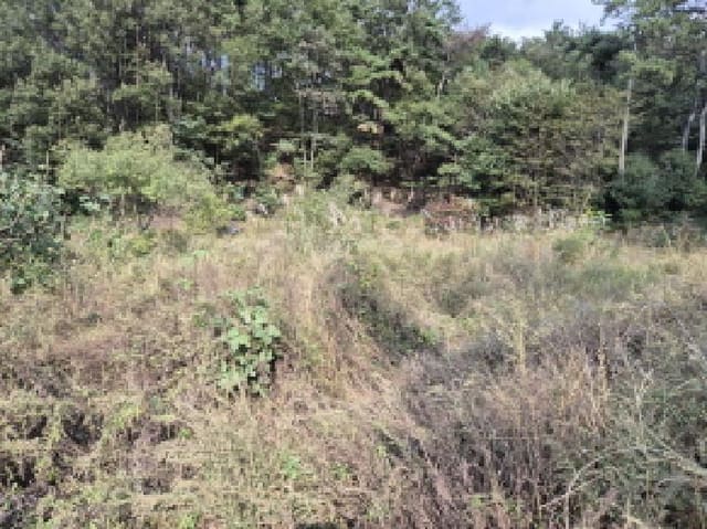 B000411202501300014771.jpg