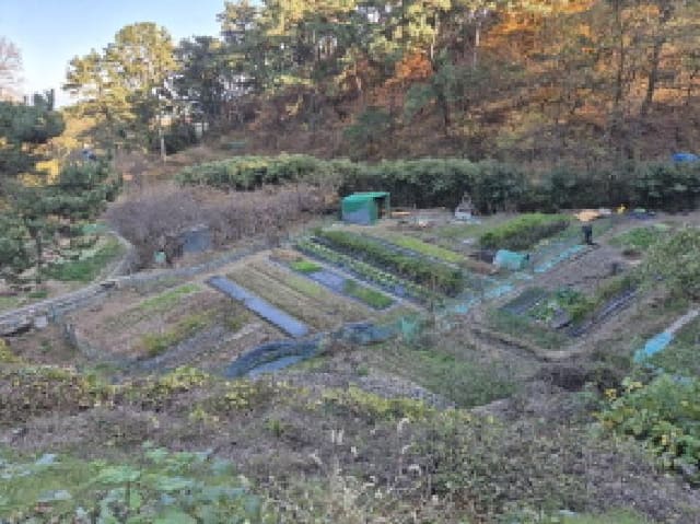 B000411202501300015581.jpg