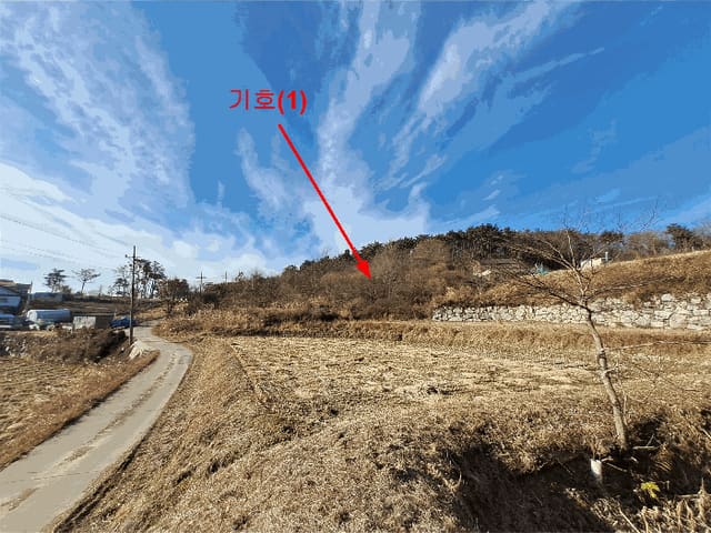 B000411202501300016484.jpg