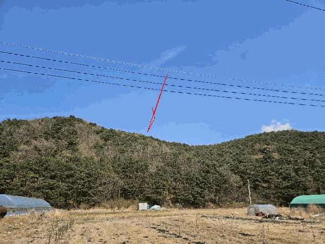 B000411202501300115193.jpg