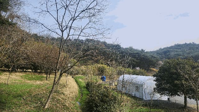 B000411202501300115476.jpg