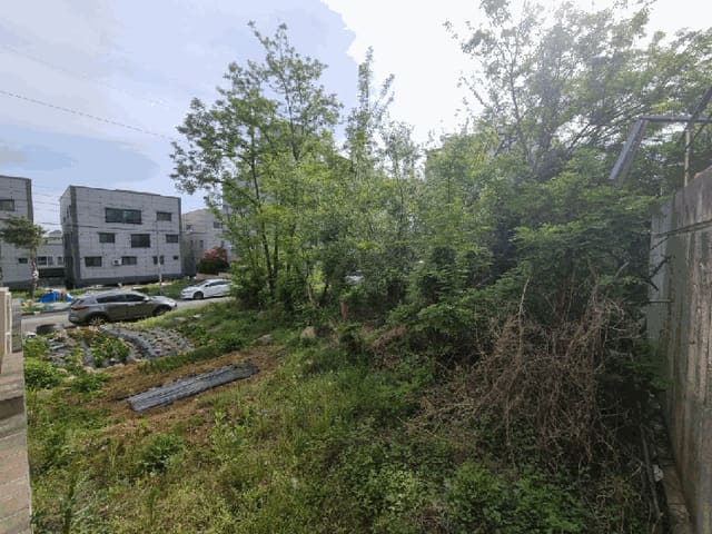 B000411202501300115604.jpg