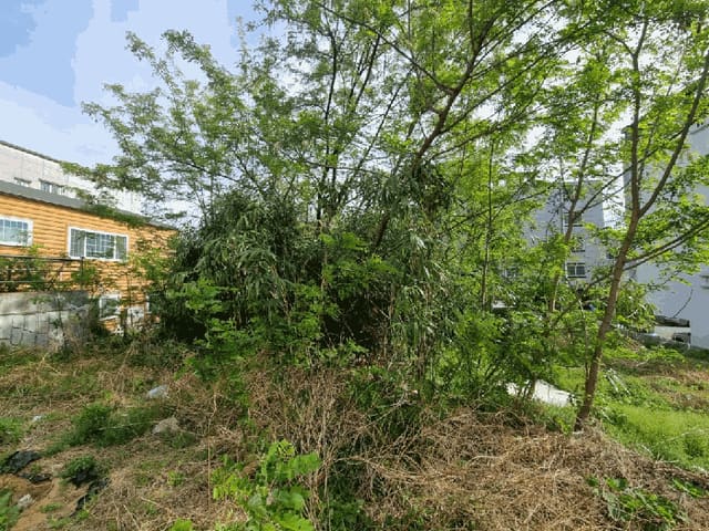 B000411202501300115603.jpg