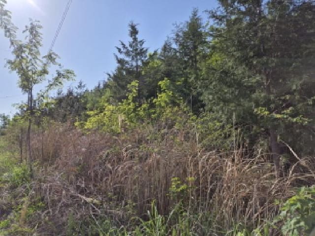 B000411202501300116242.jpg