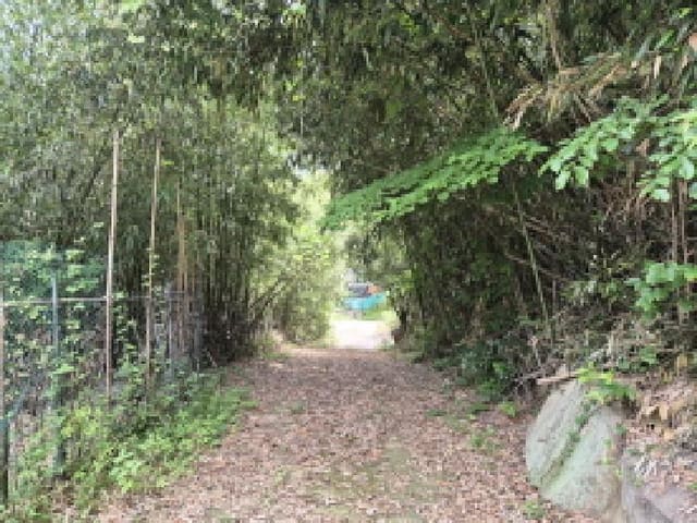 B000411202501300116342.jpg