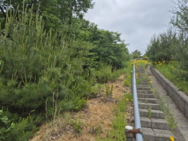 B000411202501300116361.jpg