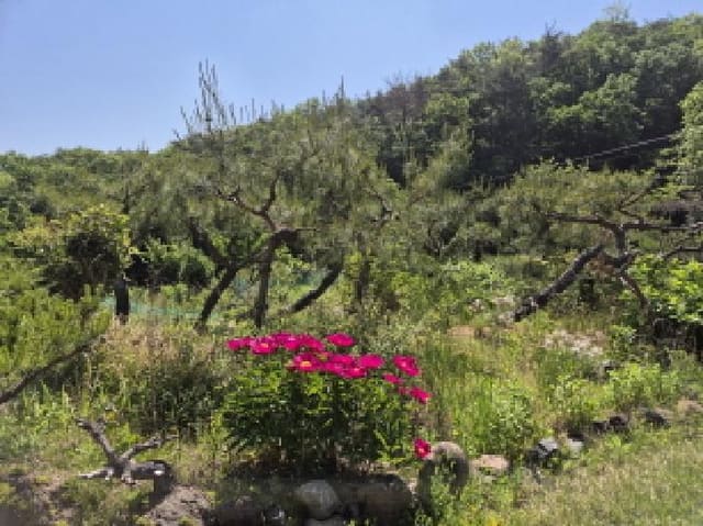 B000411202501300116863.jpg