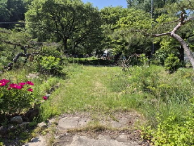 B000411202501300116862.jpg